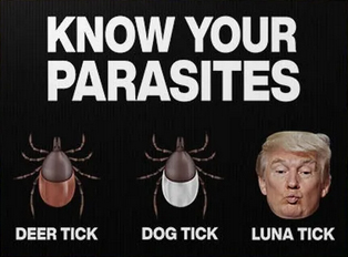 Know your parasites